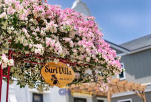 Suri Villa