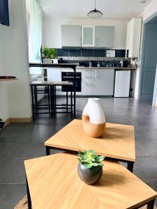 Très bel appartement au cœur des Vosges