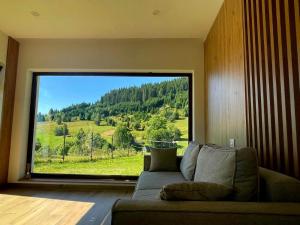 Vila Chalet Modern Poiana Vladesei