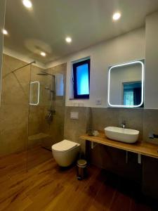 Vila Chalet Modern Poiana Vladesei