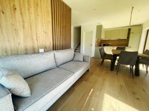 Vila Chalet Modern Poiana Vladesei