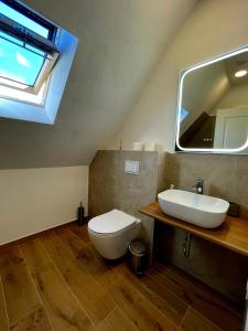 Vila Chalet Modern Poiana Vladesei