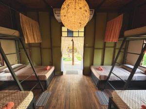 Sanctuary Hostel - Art & Adventure