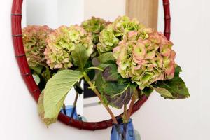 Veeve - Kensington Gem