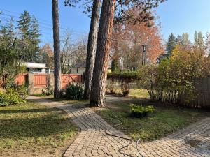 Nefelejts Deluxe Home