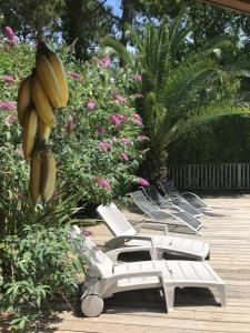 Ravissante villa tout bois avec piscine chauffée