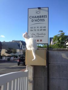 Les Chambres de Catherine