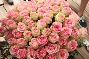 Les Chambres de Catherine