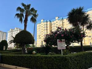 Apartamento en la Playa de Gandia