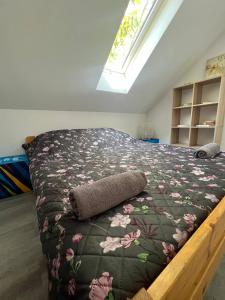 Big attic apartment near Tauron Arena