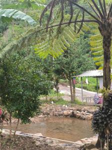 Glamping Azalea Tawangmangu 2