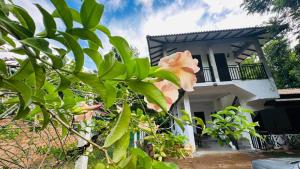 Wannihami Home Stay