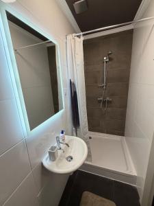 1-Bedroom Apartment near ASML & Airport