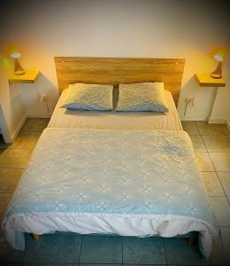 15G Bron centre hôpital Desgenette Vinatier