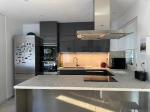 Crassula aurea apartment