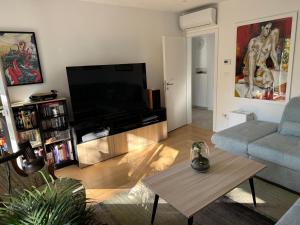 Crassula aurea apartment