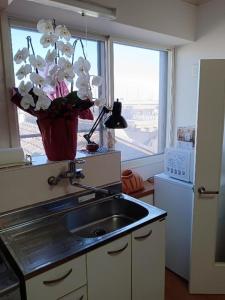 Tokyo downtown芍藥莊