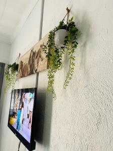 Hlatsi Bushview Apartments & Safaris