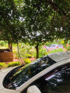 Tiara Elephant Lodge