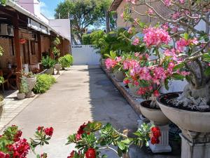 Aluguel de suítes praia do frances