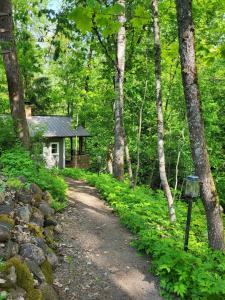 Villa Hattara - a cottage on the shore of a rapid