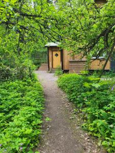 Villa Hattara - a cottage on the shore of a rapid