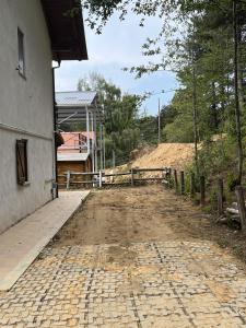 Tra il bosco e il lago