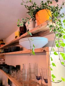 Homely 2Bedroom in the Center of Eindhoven