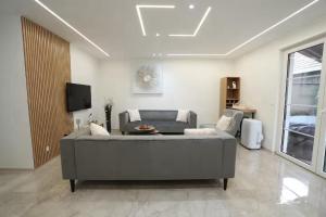 Les suites du lion