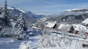 Appartements Chalet Montagne Alpes, Provence : photos des chambres