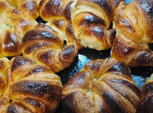 - Hab compartida masculina-