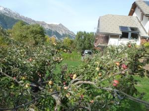 Appartements Chalet Montagne Alpes, Provence : photos des chambres