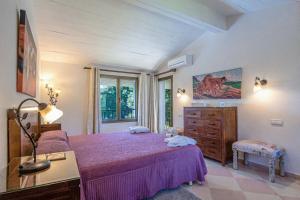 Can Llamas by Vintage Travel