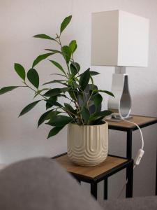 Ferienwohnung Hollerberg