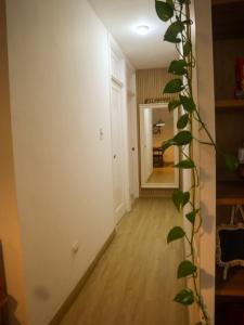 Cozy apartment just 15 min from AILA