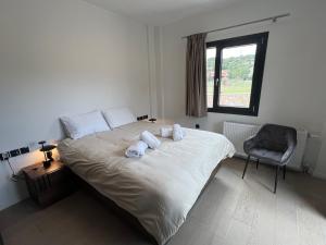 Arachova Villa Paris