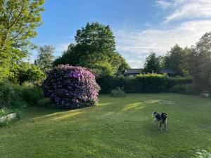 Lovely Cottage Near Lammefjorden