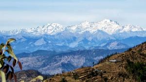 Forester North - Farm Stay in Kanatal