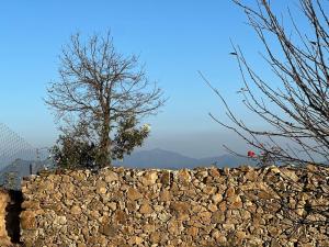 Forester North - Farm Stay in Kanatal