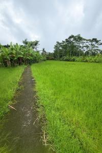 Jungle Hideaway Villas 4 - River Cafe