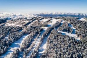 Votre Havre de Paix en Montagne - chalet 6 personnes avec piscine et sauna