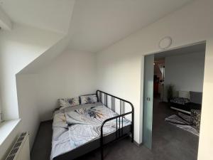 City Dachterassen Traum