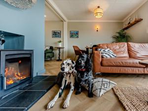 3 Bed in Aberaeron 88788