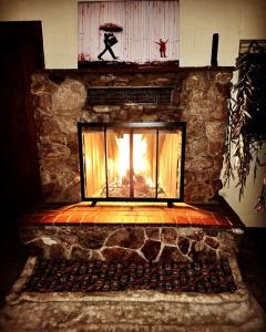 Desert Dreams with Your Furry Friend: Pet-Friendly Rental Under the Stars