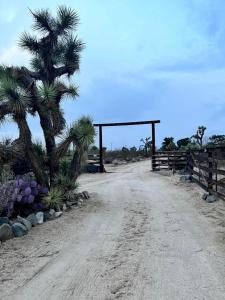 Desert Dreams with Your Furry Friend: Pet-Friendly Rental Under the Stars