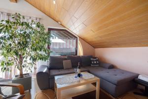 Ferienwohnung Tannhausen