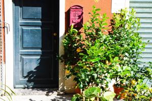 Casa Terrazza Marino