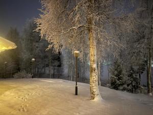 Lakefront House, Rovaniemi