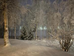 Lakefront House, Rovaniemi