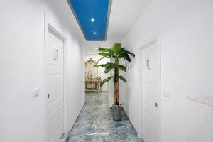 Ercolano Deluxe Bed and Breakfast